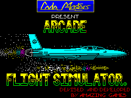Arcade Flight Simulator