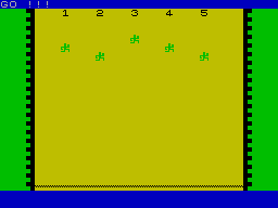 Cactuar Racing Extreme