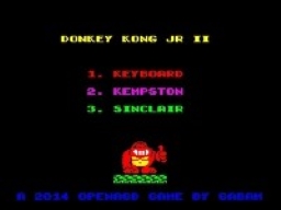 Donkey Kong JR 2