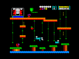 Donkey Kong Jr